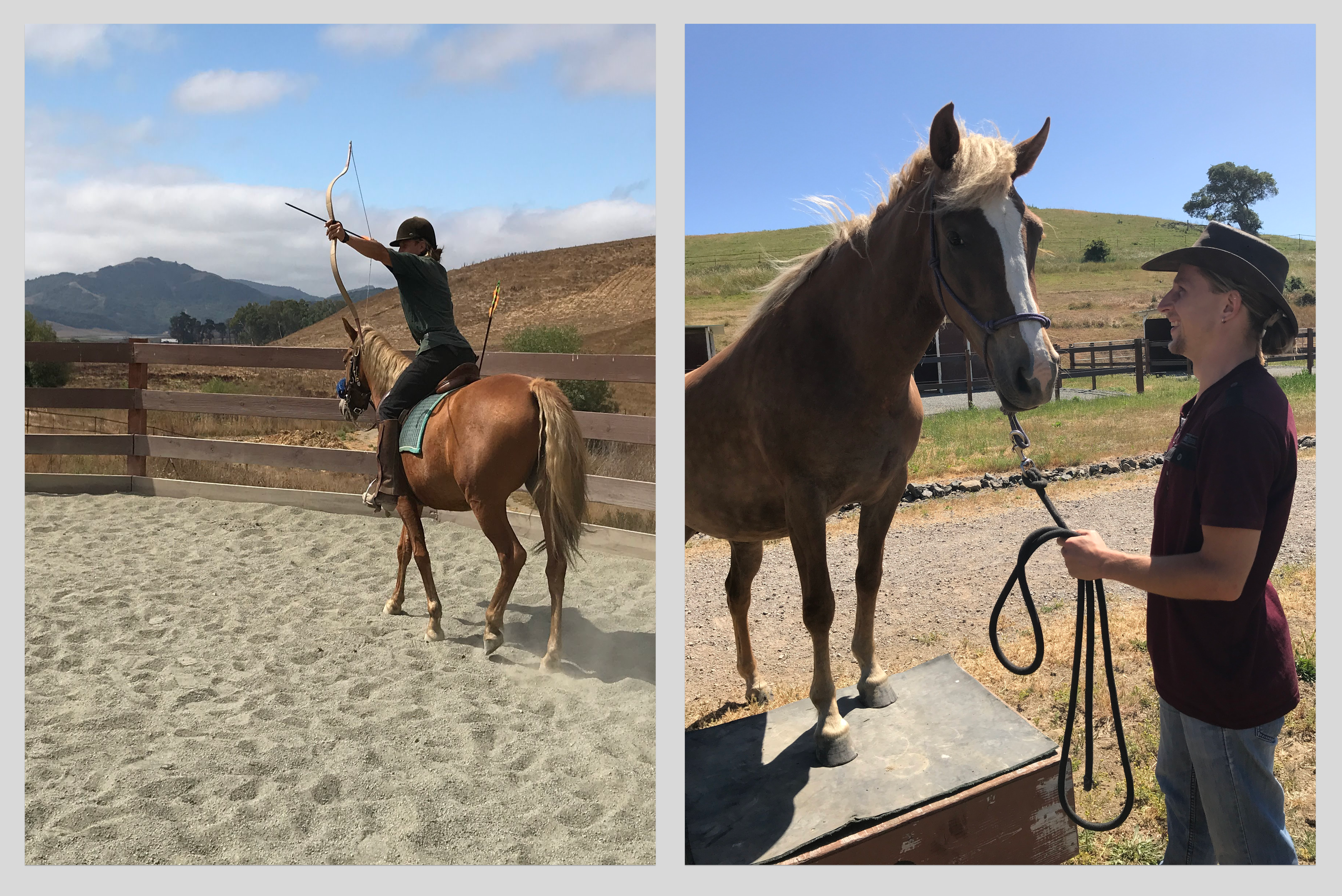 Training and riding horses
