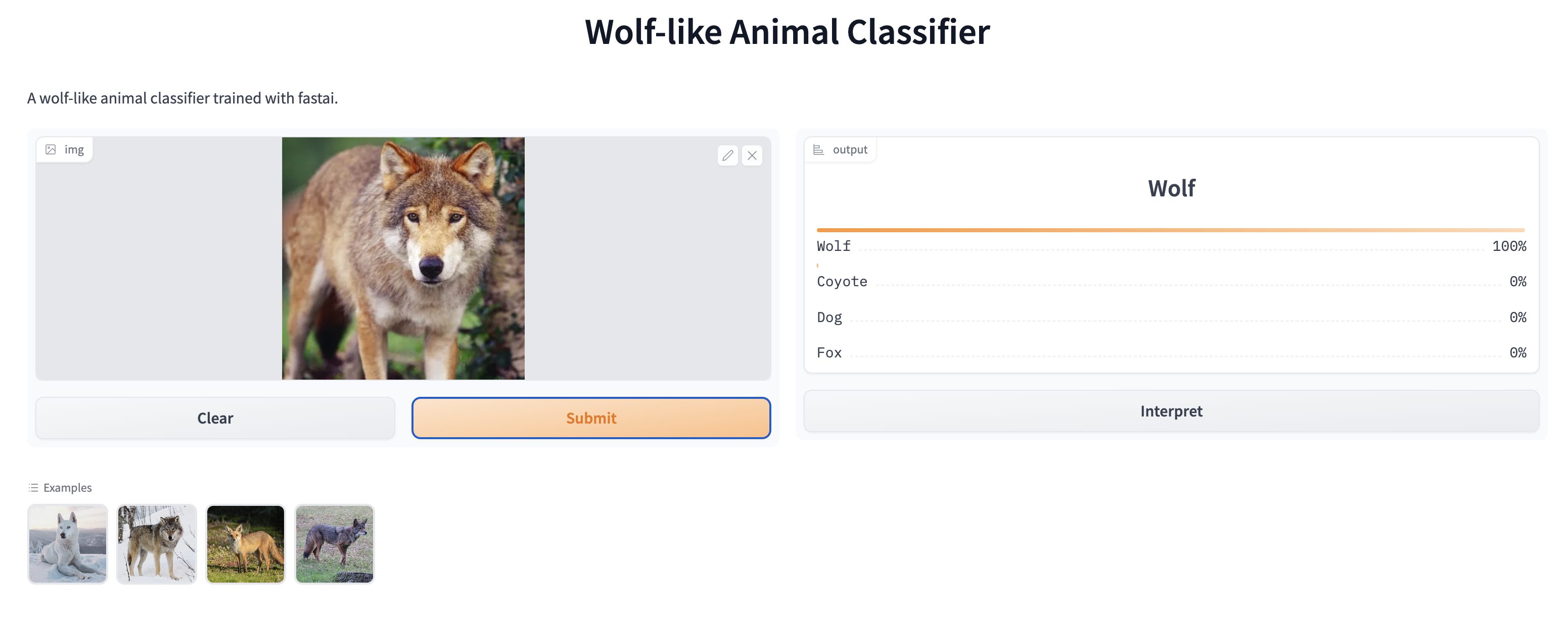 Canine Animal Classifier